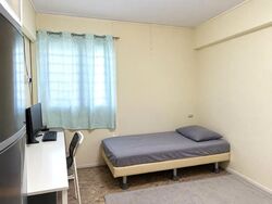 Blk 301 Clementi Haven (Clementi), HDB 4 Rooms #622293371